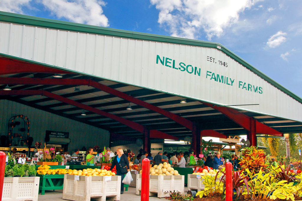 NELSON FAMILY FARMS