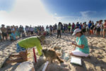 Over 150 people enjoying a free and educational Turtle Dig on beaches in Vero Beach